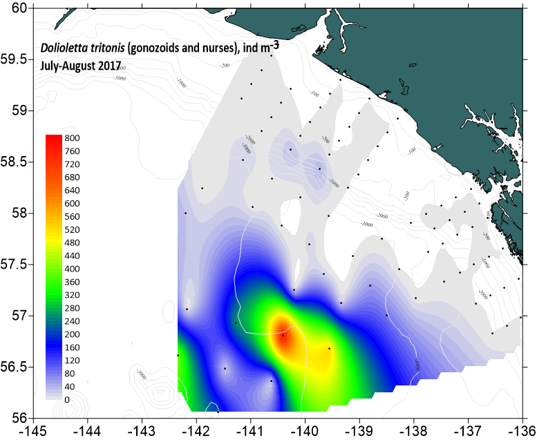 Spatial distribution of Dolioletta tritonis abundance map created in Surfer