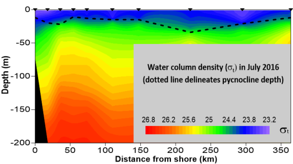 Vertical density profile showing the effect of warming waters on pycnocline depth