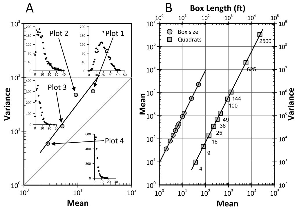 Fig.8.7 Plots demonstrating Taylor's Power Law created in Grapher