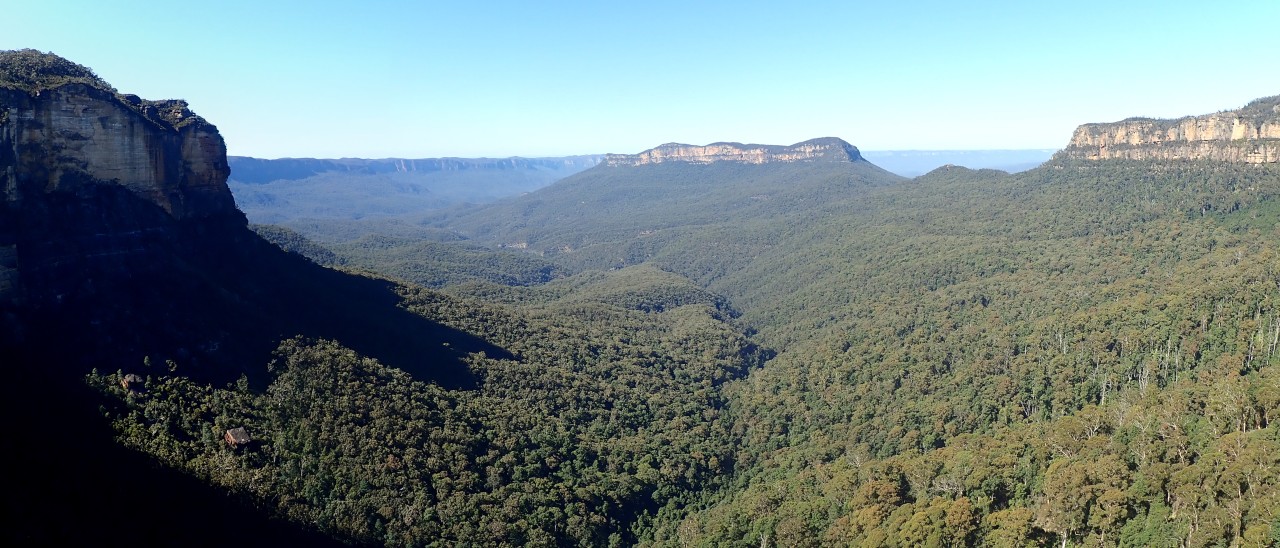 Photograph showing the typical landscape at the head of the Katoomba Valleys