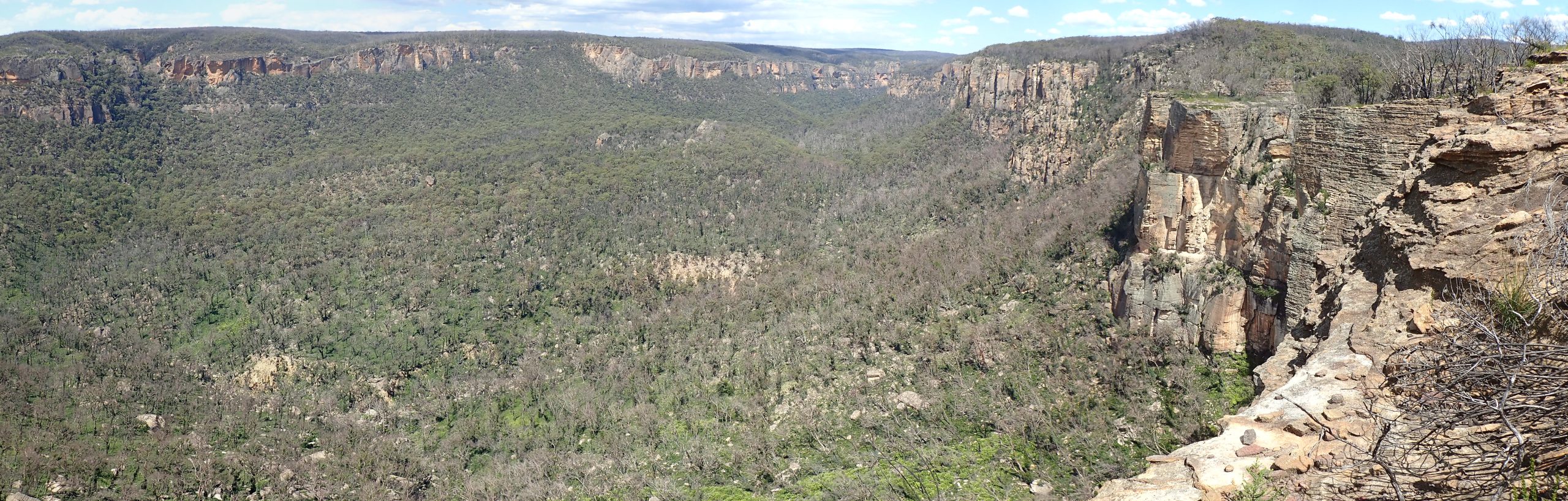 Photograph of an ancient landslide site in the Blue Mountains