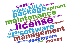 evaluate licensing options cover Software maintenance word cloud