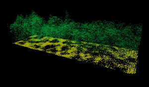 lidar archeology cover LiDAR point cloud created in Surfer