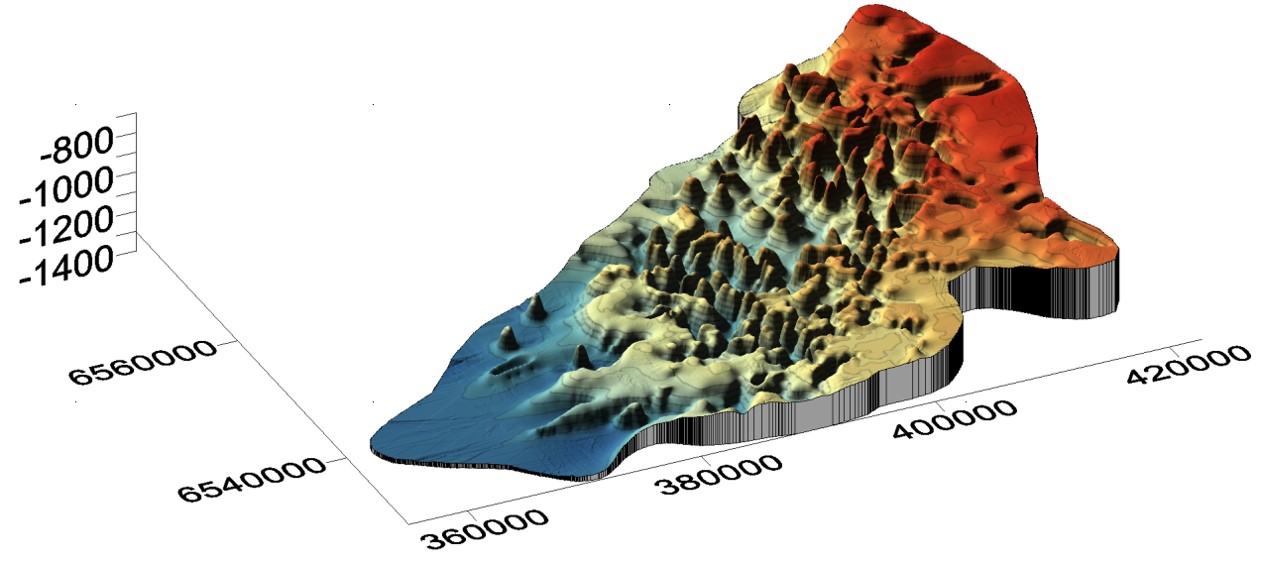 3D model of subsurface pinnacle reefs created in Surfer