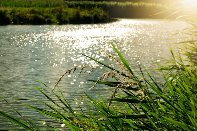 This image shows a waterbody.