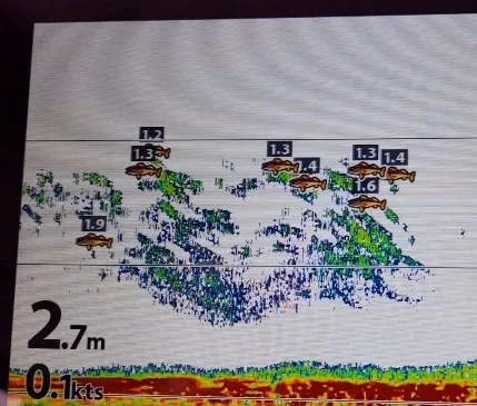 Soundings From a Survey This image shows the soundings that Roger can collect from a single system.